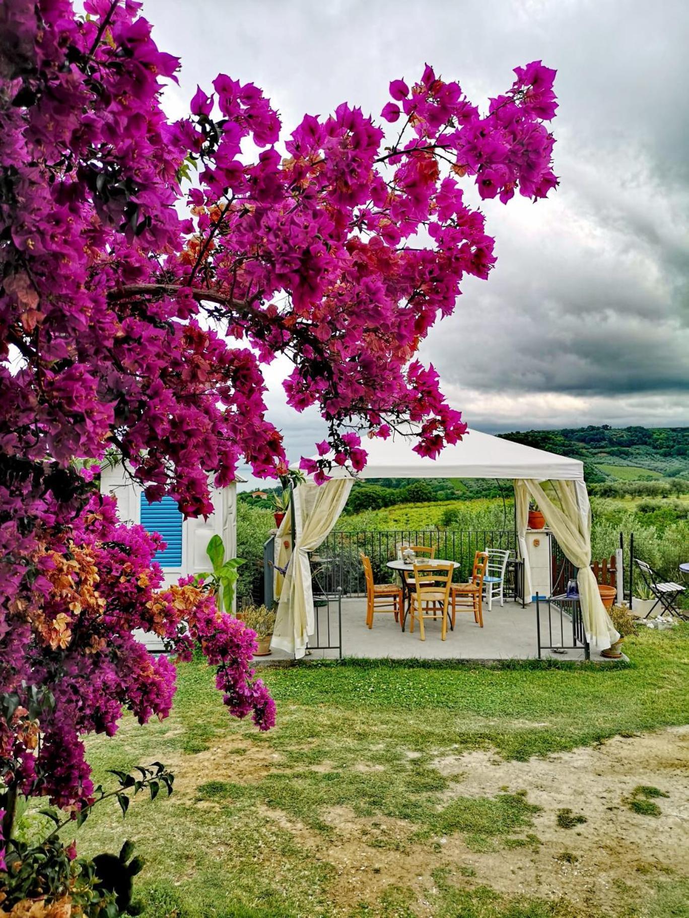 Country house La Collina Sui Trabocchi